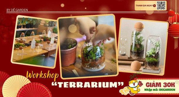 [DẾ GARDEN] Terrarium Workshop