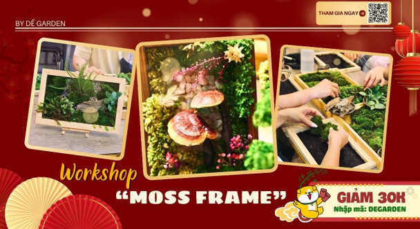 [DẾ GARDEN] Moss Frame Workshop