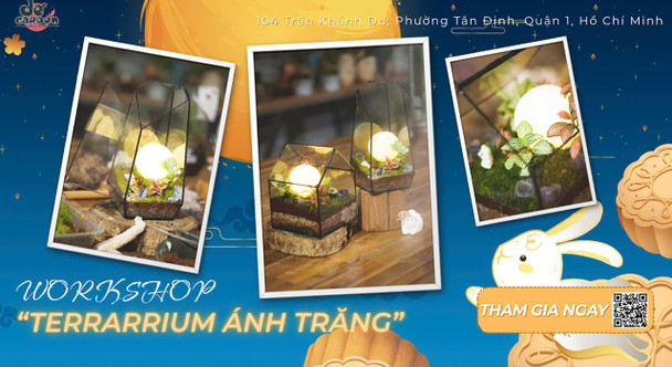 [DẾ GARDEN] Terrarium Ánh Trăng Workshop 