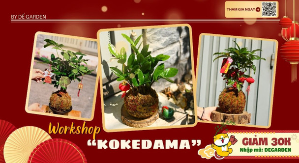 [DẾ GARDEN] Kokedama Workshop