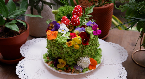[GARDEN ART] - ART WORKSHOP "TERRARIUM CAKE"